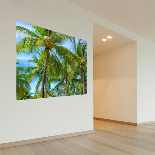 JAN 4582457984349 MU3アクセント壁紙 椰子の木 ph2114 真夏 ビーチ 南国 海 自然 ウォールステッカー ポ Lucca インテリア・寝具・収納 画像
