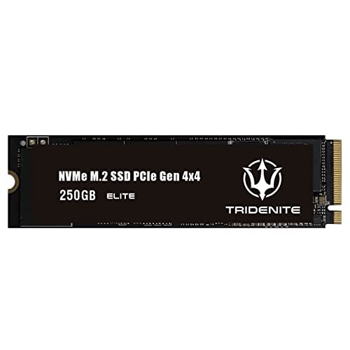 JAN 4582588470780 TRIDENITE ELITE 内蔵SSD 250GB Gen4 PCIe NVMe M.2 2280 - 読み込み 最大4450MB/秒、書き込み最大1900MB/秒 アクスグローバル(同) パソコン・周辺機器 画像