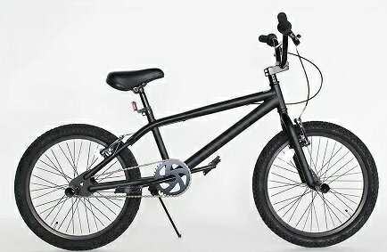 JAN 4589462610218 BMX REI TOKYO CUSTOM 20インチ自転車Code Name:moineauモアノBMXストリートトリック生産REIマットブラック 株式会社サイクルロード スポーツ・アウトドア 画像