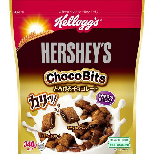 JAN 4901113819748 ケロッグ ハーシー チョコビッツ とろけるチョコレート(340g) 日本ケロッグ(同) 食品 画像