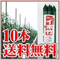 JAN 4906648013517 セキスイ イボ竹 積水樹脂株式会社 花・ガーデン・DIY 画像