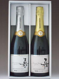 JAN 4920205480352 高畠ワイン セット YTW-S 750X2 株式会社高畠ワイナリー ビール・洋酒 画像
