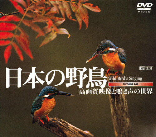 JAN 4945977200120 日本の野鳥～高画質映像と鳴き声の世界～/ＤＶＤ/SDA-08 株式会社シンフォレスト CD・DVD 画像