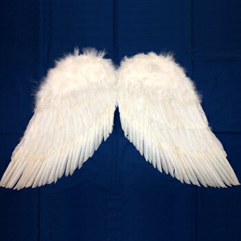 JAN 4949028106997 天使の翼 (LL) 株式会社プレイアベニュー ホビー 画像