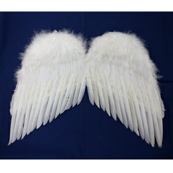 JAN 4949028107017 天使の翼（Ｍ） 株式会社プレイアベニュー ホビー 画像