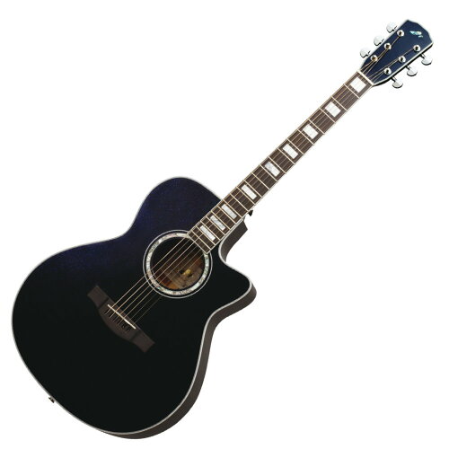 JAN 4949748079229 Morris / モーリス R-15 ( R15 ) エレアコ ギター 株式会社モリダイラ楽器 楽器・音響機器 画像