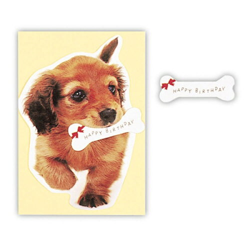 JAN 4961099388911 ホールマーク カード 骨くわえる犬 株式会社日本ホールマーク 日用品雑貨・文房具・手芸 画像