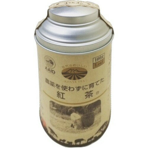JAN 4961332004905 ひしわ 農薬を使わずに育てた紅茶 缶タイプ(100g) 株式会社菱和園 水・ソフトドリンク 画像