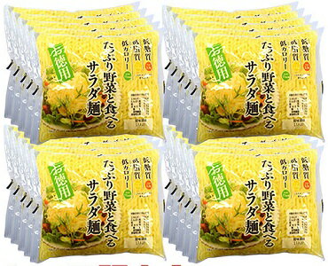JAN 4963153491605 アクツコンニャク お徳用 たっぷり野菜と食べるサラダ麺 250g アクツフーズ株式会社 食品 画像