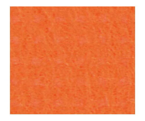 JAN 4975156101924 オリビア テーブルクロス シート   ピュアオレンジコード1423114 株式会社東京クイン キッチン用品・食器・調理器具 画像