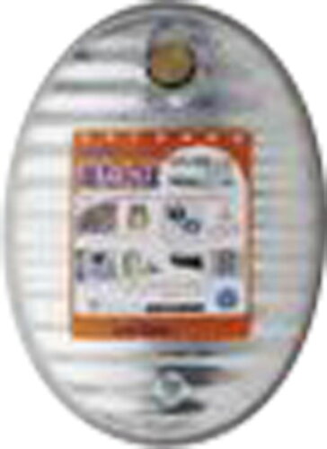 JAN 4980356000663 湯たんぽ トタン小型 袋無 2.5L(1個入) 岩谷マテリアル株式会社 ダイエット・健康 画像