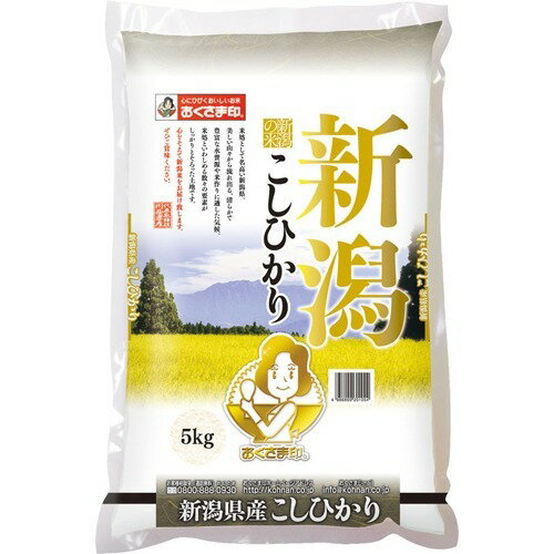 JAN 4986869201054 令和4年産 新潟県産コシヒカリ 国産(5kg) 幸南食糧株式会社 食品 画像