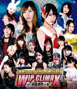JAN 4988013067417 豆腐プロレス　The　REAL　2017　WIP　CLIMAX　in　8．29　後楽園ホール/Ｂｌｕ－ｒａｙ　Ｄｉｓｃ/PCXP-50565 株式会社ポニーキャニオン CD・DVD 画像