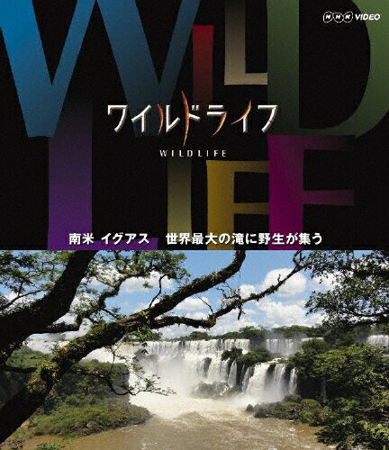 JAN 4988066193125 ワイルドライフ　南米　イグアス　世界最大の滝に野生が集う/Ｂｌｕ－ｒａｙ　Ｄｉｓｃ/NSBS-18307 株式会社NHKエンタープライズ CD・DVD 画像