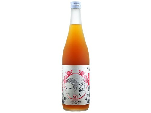JAN 4989489014530 山元酒造 となりのハンサム梅酒 720ml 山元酒造株式会社 日本酒・焼酎 画像
