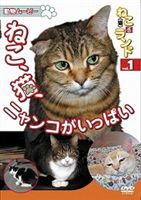 JAN 4994220710206 ねこ（猫）ざランド　Vol．1　ねこ、猫、ニャンコがいっぱい/ＤＶＤ/DENA-1201 株式会社アドメディア CD・DVD 画像