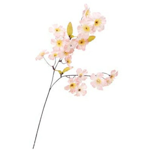JAN 4996840112972 春桜サクラスプレイ X 18 株式会社ドガ 花・ガーデン・DIY 画像