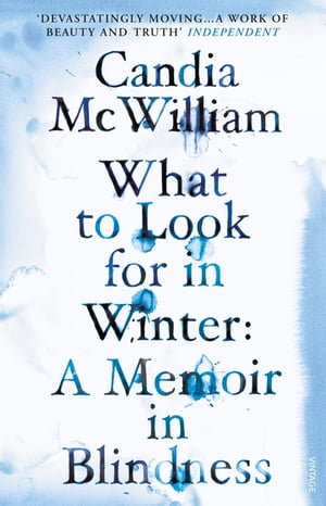 ISBN 9780099539537 What to Look for in Winter Candia McWilliam 本・雑誌・コミック 画像