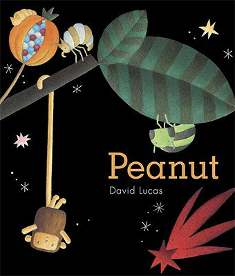 ISBN 9780763639259 Peanut /CANDLEWICK BOOKS/David Lucas 本・雑誌・コミック 画像