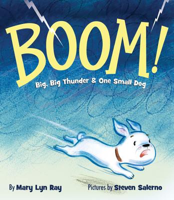 ISBN 9781423162384 Boom!: Big, Big Thunder & One Small Dog /HYPERION BOOKS/Mary Lyn Ray 本・雑誌・コミック 画像