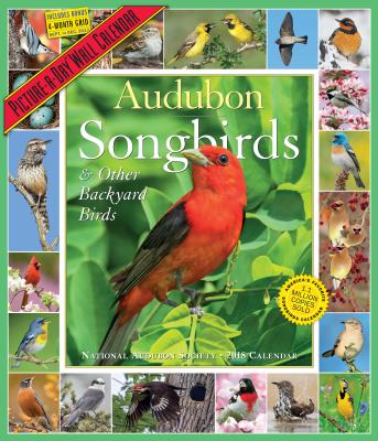 ISBN 9781523500727 Audubon Songbirds and Other Backyard Birds Picture-A-Day Calendar 2018 /WORKMAN PUB CO/National Audubon Society 本・雑誌・コミック 画像