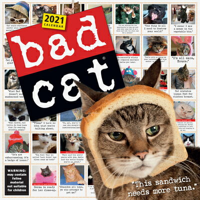 ISBN 9781523508341 Bad Cat Wall Calendar 2021/WORKMAN PR/Workman Calendars 本・雑誌・コミック 画像