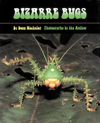 ISBN 9781590780954 Bizarre Bugs /BOYDS MILLS PR/Doug Wechsler 本・雑誌・コミック 画像
