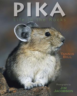 ISBN 9781590788035 Pika: Life in the Rocks/BOYDS MILLS PR/Tannis Bill 本・雑誌・コミック 画像