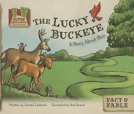 ISBN 9781604531855 The Lucky Buckeye: A Story about Ohio /SUPER SANDCASTLE/Kristal Leebrick 本・雑誌・コミック 画像
