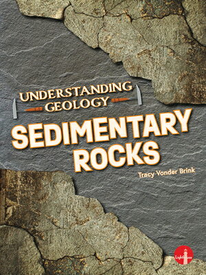 ISBN 9781638979852 Sedimentary Rocks/LIGHTHOUSE/Tracy Vonder Brink 本・雑誌・コミック 画像