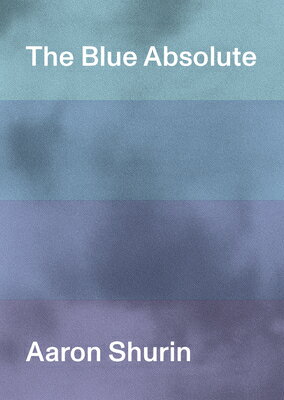 ISBN 9781643620169 The Blue Absolute/NIGHTBOAT BOOKS/Aaron Shurin 本・雑誌・コミック 画像