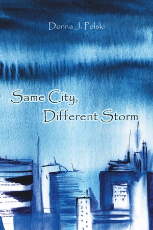 ISBN 9781646709342 Same City, Different Storm Donna J. Polski 本・雑誌・コミック 画像
