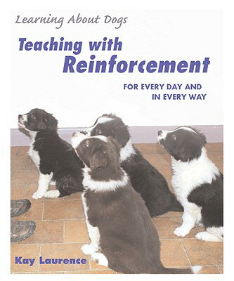 ISBN 9781890948405 Teaching with Reinforcement: For Every Day and in Every Way/SUNSHINE BOOKS INC/Kay Laurence 本・雑誌・コミック 画像