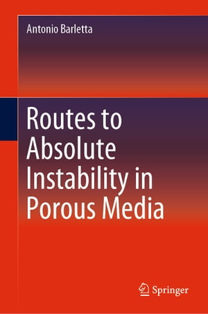 ISBN 9783030061937 Routes to Absolute Instability in Porous Media Antonio Barletta 本・雑誌・コミック 画像
