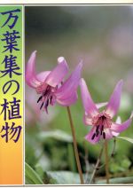 ISBN 9784035290704 万葉集の植物   /偕成社/吉野正美 偕成社 本・雑誌・コミック 画像