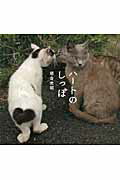 ISBN 9784096820452 ハ-トのしっぽ   /小学館/岩合光昭 小学館 本・雑誌・コミック 画像