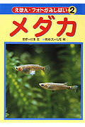 ISBN 9784251079121 メダカ/あかね書房/七尾純 あかね書房 本・雑誌・コミック 画像
