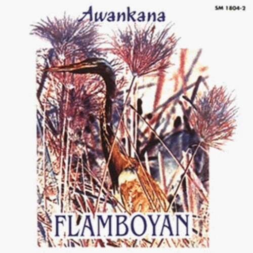 EAN 4010228180428 Flamboyan Awankana CD・DVD 画像