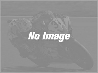 EAN 4042545508111 HEPCO＆BECKER ヘプコ＆ベッカー バッグ・ボックス類取り付けステー レザーバックホルダー VN 15-GuBrad 車用品・バイク用品 画像