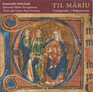 EAN 5690351100662 Sveinsson , Gunnar Reynir 1933- / Til Mariu-sacred Works: Agnarsson / Southern Icelands Chamber Cho 輸入盤 CD・DVD 画像