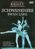 EAN 9120005651296 バレエ＆ダンス / Swan Lake Tchaikovsky : Moscow Classikal Ballet CD・DVD 画像