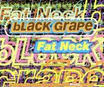 UPC 0008814801325 Fat Neck ブラック・グレープ CD・DVD 画像