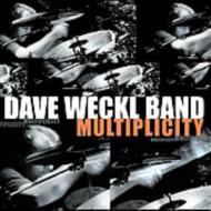 UPC 0013431904427 Dave Weckl デイブウェックル / Multiplicity 輸入盤 CD・DVD 画像