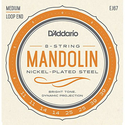 UPC 0019954910679 D’Addario (ダダリオ) マンドリン弦 EJ67 楽器・音響機器 画像