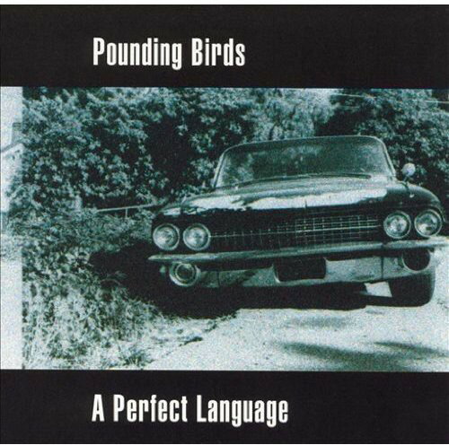 UPC 0023138521926 A Perfect Language / Pounding Birds CD・DVD 画像