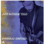 UPC 0027312120424 Joe Morris / Symbolic Gesture 輸入盤 CD・DVD 画像