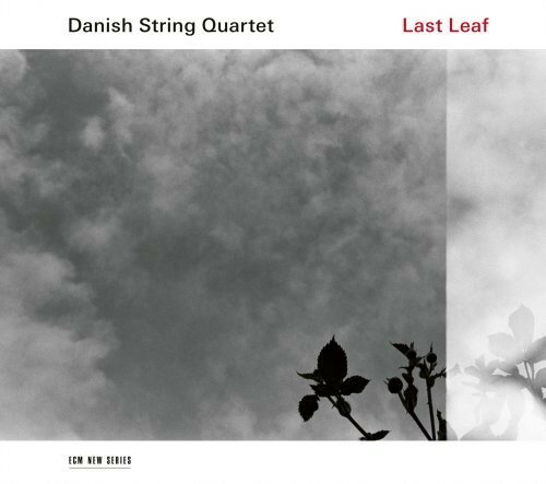 UPC 0028948164974 Danish Sq: Last Leaf CD・DVD 画像