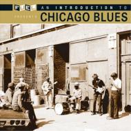 UPC 0030206160123 Introduction to Chicago Blues CD・DVD 画像