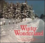 UPC 0030206640427 Winter Wonderland WinterWonderland CD・DVD 画像