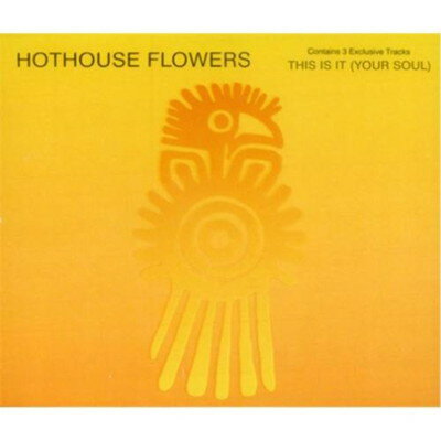 UPC 0042285735321 This Is It / Hothouse Flowers CD・DVD 画像